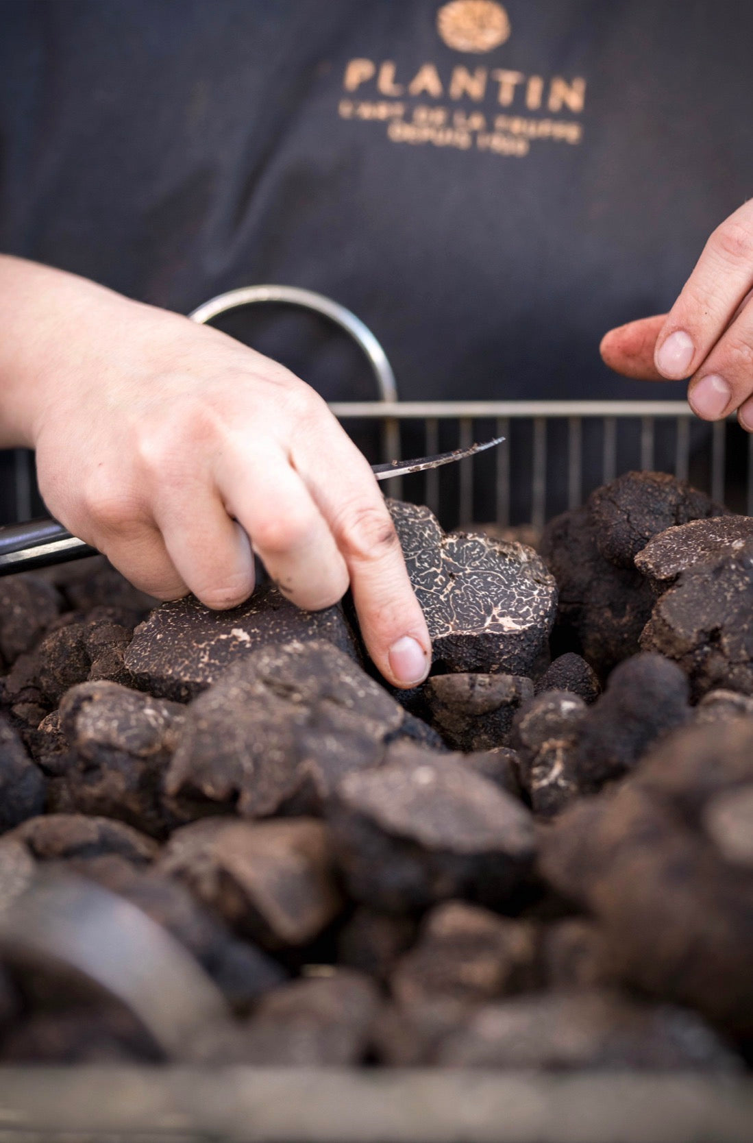 PLANTIN